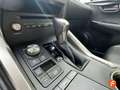 Lexus NX 300h 2.5 Business Navigation 2WD Amarillo - thumbnail 26