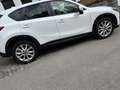 Mazda CX-5 CX-5 CD175 AWD Revolution "Leder weiss" Aut. Revolution Leder weiss Weiß - thumbnail 3