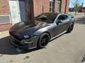 Ford Mustang GT5.0 Fastback Magneride/COC/7Jahre Garantie Gris - thumbnail 11