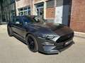 Ford Mustang GT 5.0 Fastback 7Jahre/140tkm Garantie/Magneride/C Gris - thumbnail 4