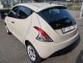 Lancia Ypsilon 1.2 69 CV 5 porte GPL Ecochic Black and Noir Beige - thumbnail 5