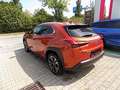 Lexus UX 250h 2.0 Klima Rückfahrkamera Sitzheizung - thumbnail 6
