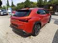 Lexus UX 250h 2.0 Klima Rückfahrkamera Sitzheizung - thumbnail 4
