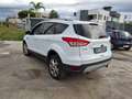 Ford Kuga Kuga 2.0 tdci Titanium 4wd 163cv auto Bianco - thumbnail 4