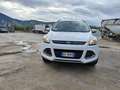 Ford Kuga Kuga 2.0 tdci Titanium 4wd 163cv auto Bianco - thumbnail 1