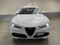 Alfa Romeo Stelvio 2.2 Turbodiesel 180 CV AT8 Q4 Business Weiß - thumbnail 1
