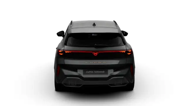 Cupra Terramar view 7