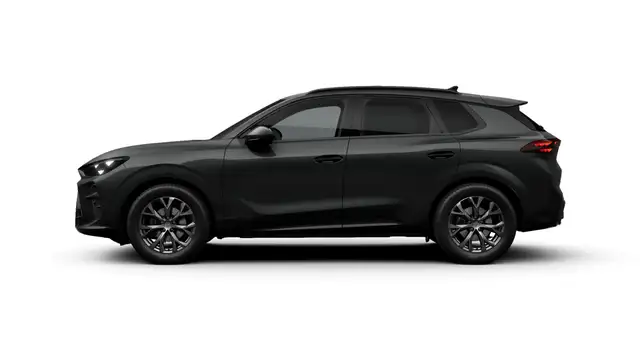Cupra Terramar view 6
