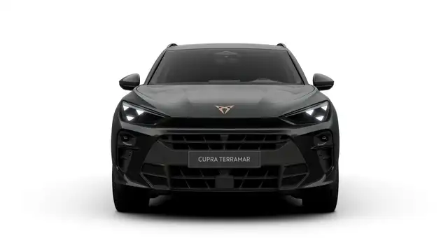 Cupra Terramar view 3