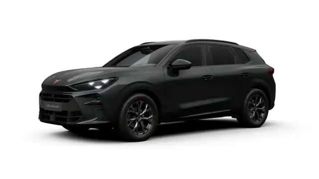 Cupra Terramar view 2