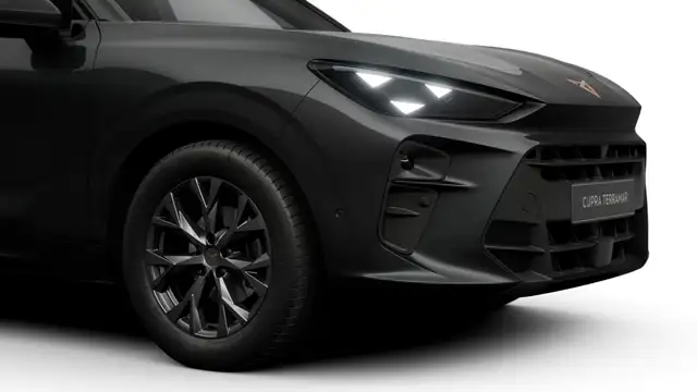 Cupra Terramar view 4