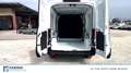 Ford Transit 350 2.0 tdci 170cv trail L3H2 E6.2 Bianco - thumbnail 9
