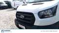 Ford Transit 350 2.0 tdci 170cv trail L3H2 E6.2 Bianco - thumbnail 10