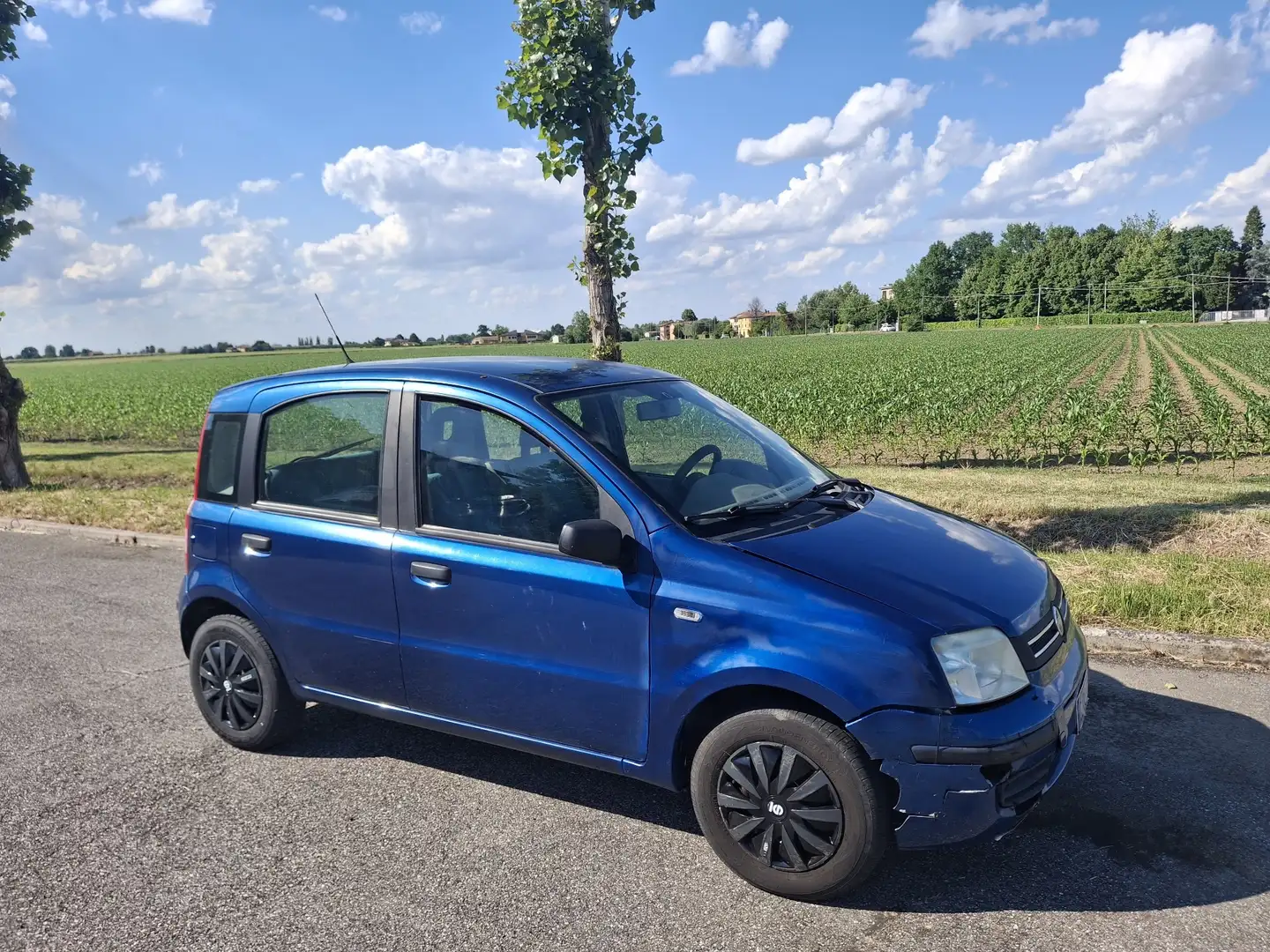 Fiat Panda 1.2 Dynamic Class Eco - 1