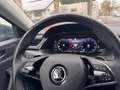 Skoda Superb Combi Ambition 2.0 TDI LED-VIRTUAL-EURO 6 Gris - thumbnail 10