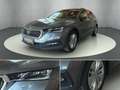 Skoda Octavia Combi 2,0 TDI Ambition DSG Grau - thumbnail 8