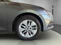Skoda Octavia Combi 2,0 TDI Ambition DSG Grau - thumbnail 13