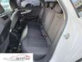 Audi A4 Avant 30 TDI/136 CV S tronic Business Advanced White - thumbnail 11
