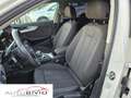 Audi A4 Avant 30 TDI/136 CV S tronic Business Advanced Bianco - thumbnail 10