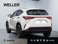 Lexus NX 350h E-FOUR Overtrail *360*HUD*Navi*LED*el Heck* Blanc - thumbnail 6