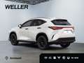 Lexus NX 350h E-FOUR Overtrail *360*HUD*Navi*LED*el Heck* Blanc - thumbnail 5