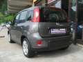 Fiat Panda Panda 1.0 FireFly S&S Hybrid *SOLO 12.980 KILOMET Grigio - thumbnail 12