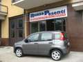 Fiat Panda Panda 1.0 FireFly S&S Hybrid *SOLO 12.980 KILOMET Grigio - thumbnail 7