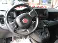 Fiat Panda Panda 1.0 FireFly S&S Hybrid *SOLO 12.980 KILOMET Grigio - thumbnail 20