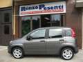 Fiat Panda Panda 1.0 FireFly S&S Hybrid *SOLO 12.980 KILOMET Grigio - thumbnail 10