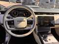 Land Rover Range Rover D350  HSE Pano Signature Grau - thumbnail 7