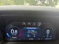 Ford Ranger 3.0 EcoBlue e-4WD Platinum Grijs - thumbnail 8
