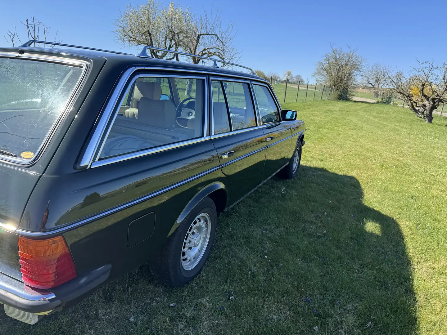 Mercedes-Benz E 230 kombi Groen - 2