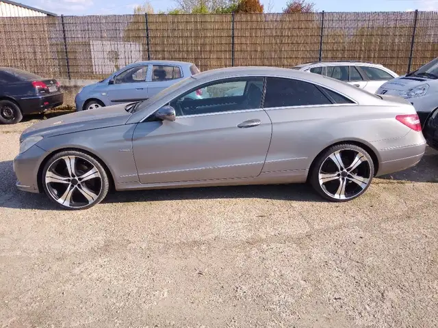 Mercedes-Benz E 250 E 250 CDI BlueEfficiency (207.303)