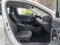 Mercedes-Benz A 250 e Progressive/Multibeam/Cam/AHK/Winter/17" Blanc - thumbnail 7