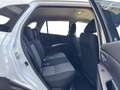 Suzuki S-Cross 1.4 HYBRID ALLGRIP shine Weiß - thumbnail 16