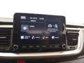 Kia Stonic 1.0 T-GDi MHEV Concept 100 Rojo - thumbnail 13