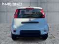 Fiat Panda Hybrid 70 PS Blanc - thumbnail 5