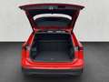 Volkswagen Tiguan 1.5 eTSI DSG Goal, Navi, AHK, LED, Kamera Rood - thumbnail 11
