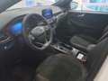 Ford Kuga ST-Line X 2.5 Duratec FHEV Auto 190cv Blanco - thumbnail 16