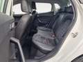 SEAT Ibiza 1.0 TSI FR 2xKlima ACC Alcant. KeyLess LED Bianco - thumbnail 8