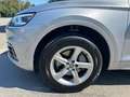 Audi Q5 2.0 tfsi Business Sport quattro 252cv s-tronic Argent - thumbnail 6