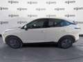 Nissan Qashqai Qashqai 1.3 mhev Acenta 2wd 140cv Bianco - thumbnail 11