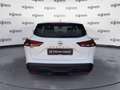 Nissan Qashqai Qashqai 1.3 mhev Acenta 2wd 140cv Bianco - thumbnail 12