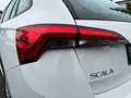 Skoda Scala 1.0TSI Cool Plus LED+BLUETOOTH+DAB+++ Wit - thumbnail 10