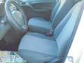 Fiat Panda 1.3 mjt 16v  VAN  2 POSTI  CLIMA Bianco - thumbnail 7