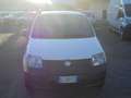 Fiat Panda 1.3 mjt 16v  VAN  2 POSTI  CLIMA Bianco - thumbnail 2