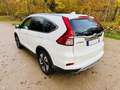 Honda CR-V 1.6 i-DTEC 160ch Exclusive Navi 4WD Blanc - thumbnail 6
