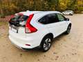 Honda CR-V 1.6 i-DTEC 160ch Exclusive Navi 4WD Blanc - thumbnail 5