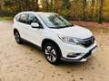 Honda CR-V 1.6 i-DTEC 160ch Exclusive Navi 4WD Blanc - thumbnail 2