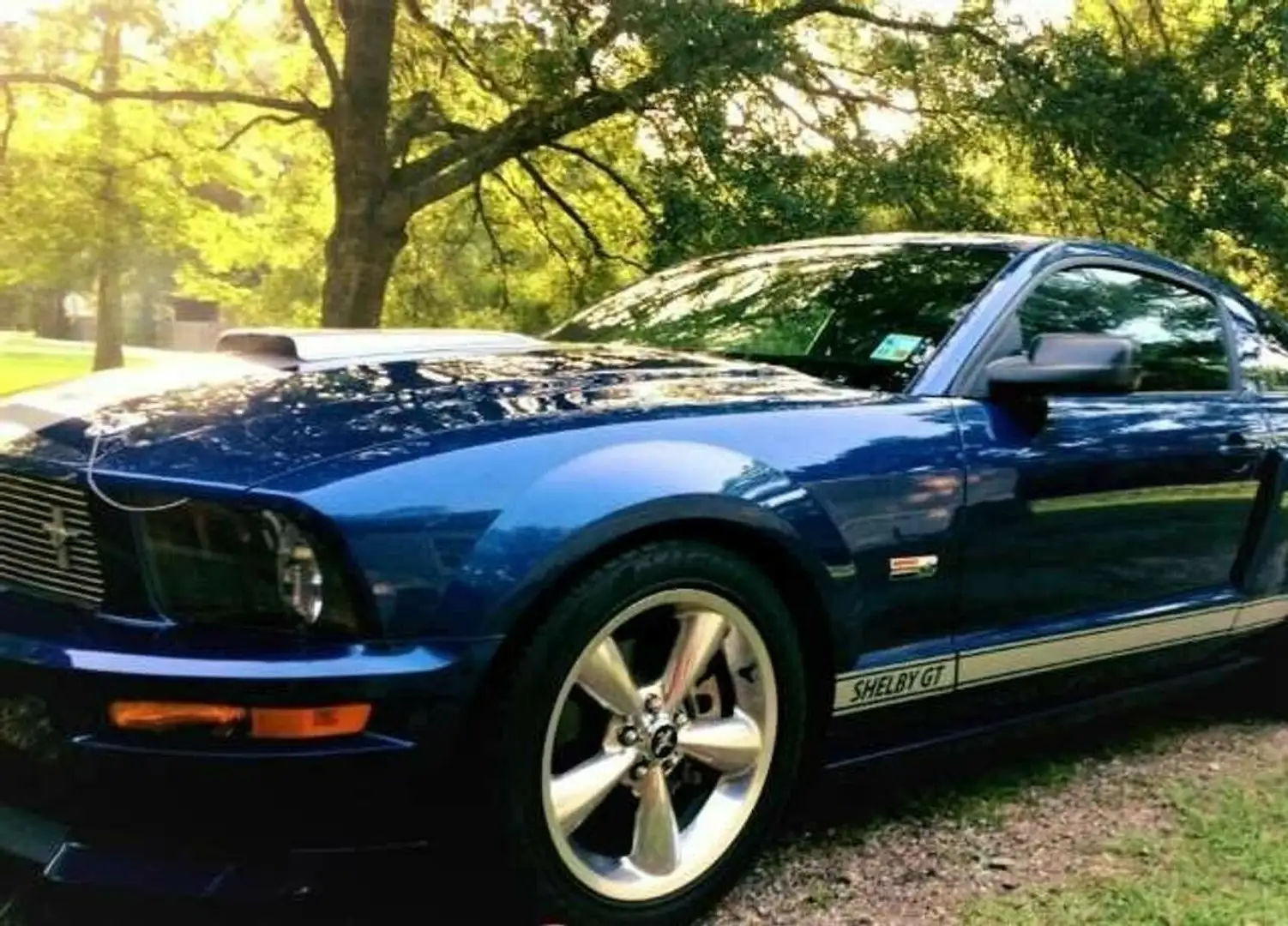 Shelby Mustang GT-H Shelby GT original CSM MY 2008 Blauw - 2